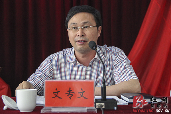 炎陵县召开“三打八创”平安创建百日大行动动员会