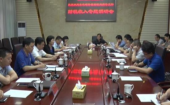 市财政局来县调研财税收入情况
