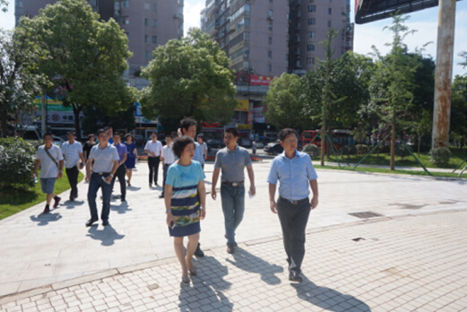 市委常委、常务副市长赵文彬一行视察芦淞区基础设施项目建设情况