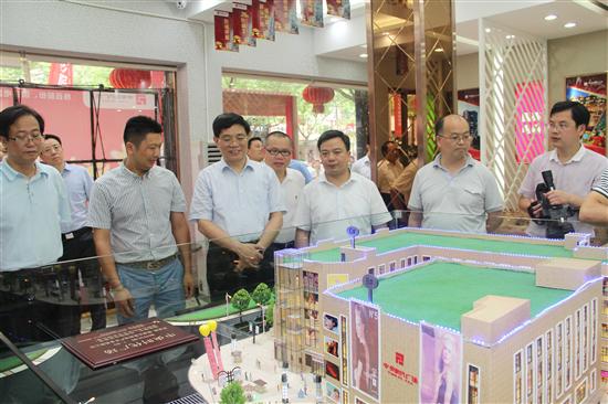 市委书记贺安杰来县调研项目建设