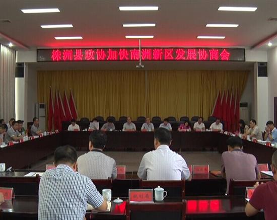 县政协召开加快南洲新区发展协商会
