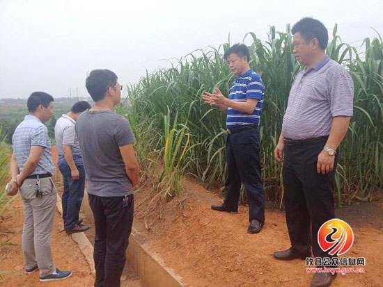 陈运发调研全县养殖业发展