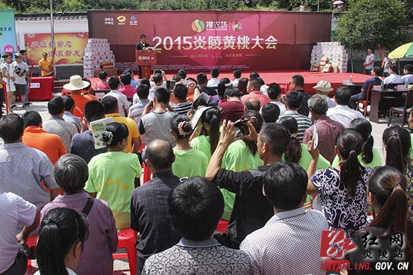 炎陵黄桃大会暨"游人间仙境 品炎陵黄桃"活动开幕