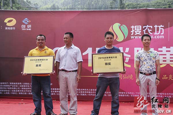 炎陵黄桃大会暨"游人间仙境 品炎陵黄桃"活动开幕