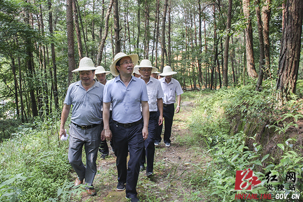文专文：落实责任 强化举措 推进炎帝陵创国家5A级景区