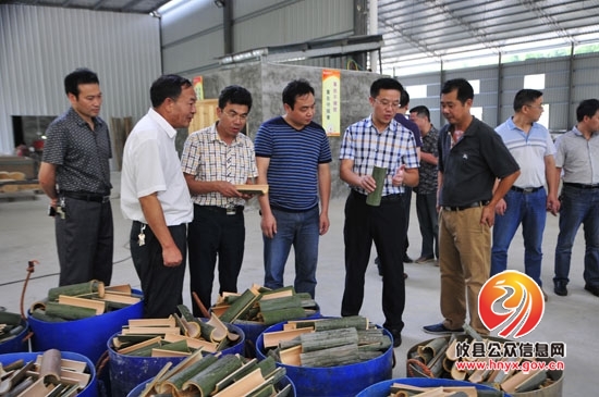 龚红果一行到湖南坳调研指导项目建设和产业发展工作