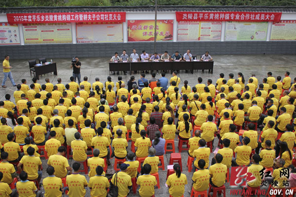 平乐乡炎陵黄桃购销工作暨耕夫子社员大会召开