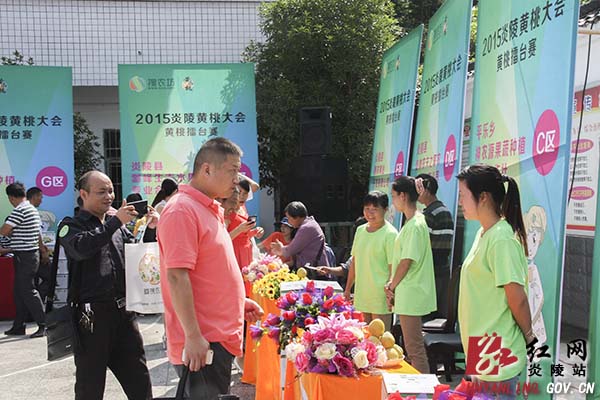 炎陵黄桃大会暨"游人间仙境 品炎陵黄桃"活动开幕