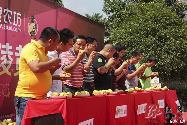 炎陵黄桃大会暨"游人间仙境 品炎陵黄桃"活动开幕