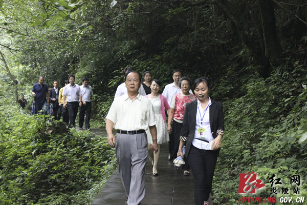 曹伯纯视察炎陵经济社会发展情况