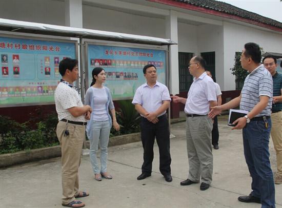 谭润洪深入龙凤乡调研村级经济发展情况