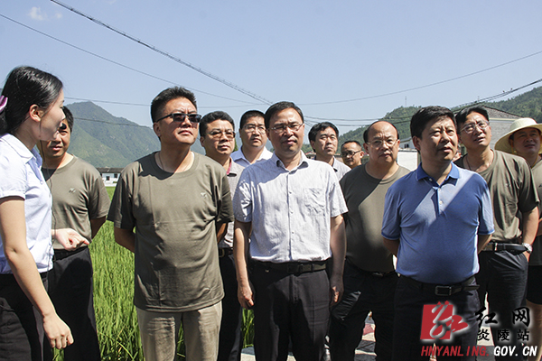 祁东县党政代表团来炎开展"军事日"活动