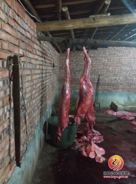 县工商局查获注水牛肉652斤 涉案价值2.6万元