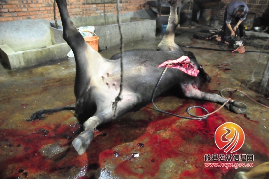 县工商局查获注水牛肉652斤 涉案价值2.6万元