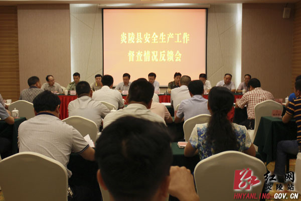 副市长谭可敏来炎督查安全生产工作
