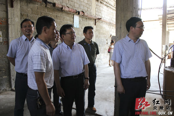 副市长谭可敏来炎督查安全生产工作
