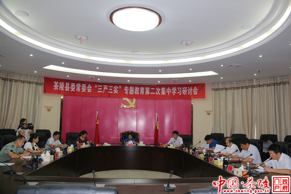 茶陵县委常委会开展“三严三实”专题教育学习研讨