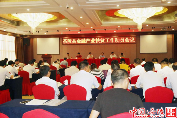 茶陵县金融产业扶贫动员会议召开