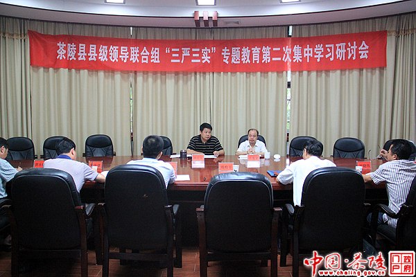 茶陵县“三严三实”专题教育第二次学习研讨会召开