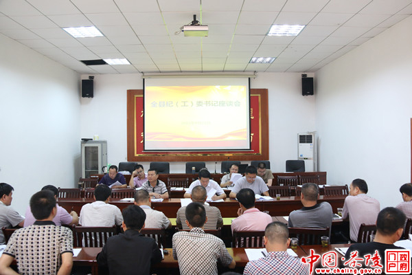 茶陵县纪(工)委书记座谈会召开
