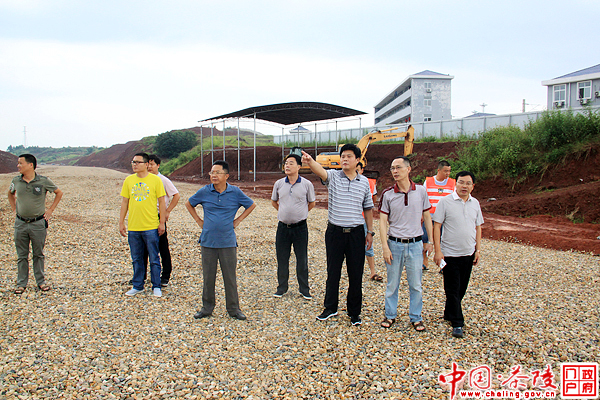 彭新军视察园区公路建设