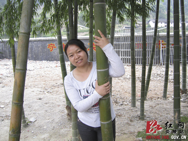 【教师节专题】一片丹心献教育 满腔真情育桃李