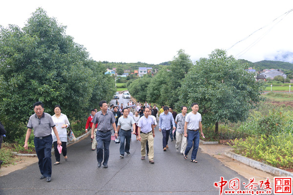 茶陵县召开美丽乡村建设现场推进会