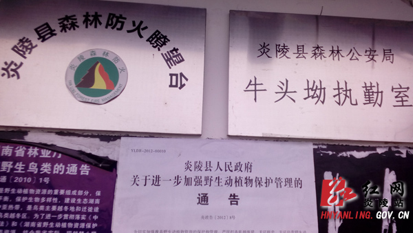 ＂千年鸟道＂护航记