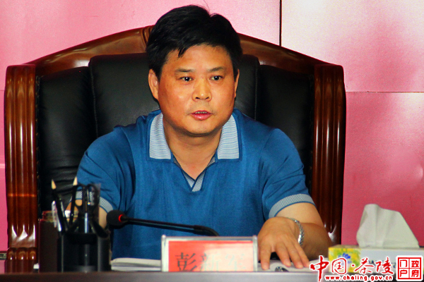 茶陵县委常委会议召开 审议县政府机构改革方案等