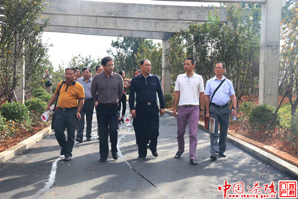 台山市政协主席谭康乐一行来茶交流学习