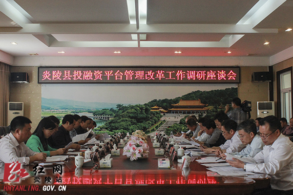 炎陵县召开投融资平台管理改革工作调研座谈会