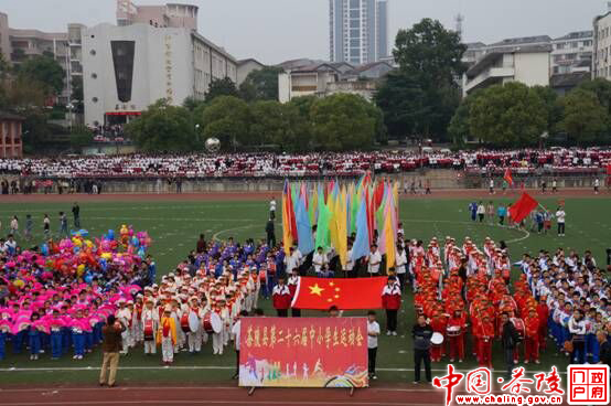 茶陵县第26届中小学生运动会开幕
