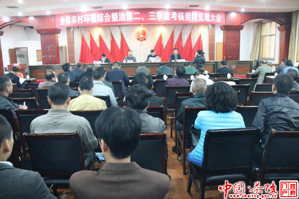 八团、桃坑分别获二、三季度农村环境综合整治第一名