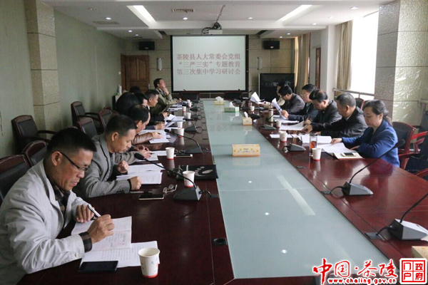 县人大召开“三严三实”专题教育第三次集中学习研讨会