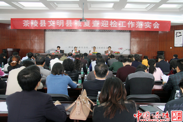 茶陵县文明县城复查迎检工作落实会召开
