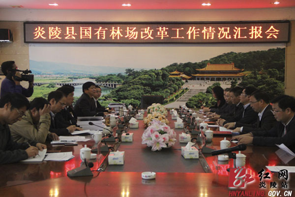 炎陵县国有林场改革工作接受评估验收