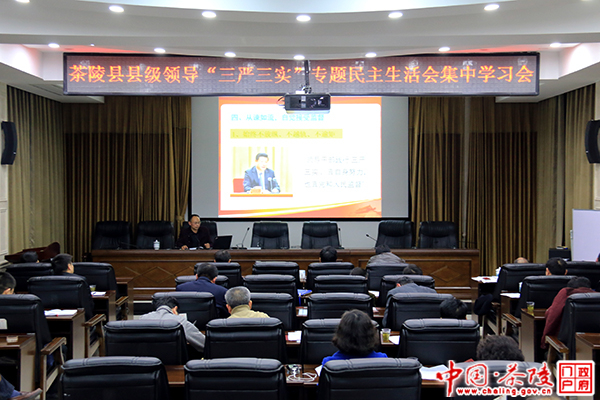 茶陵县召开“三严三实”专题民主生活会集中学习会议