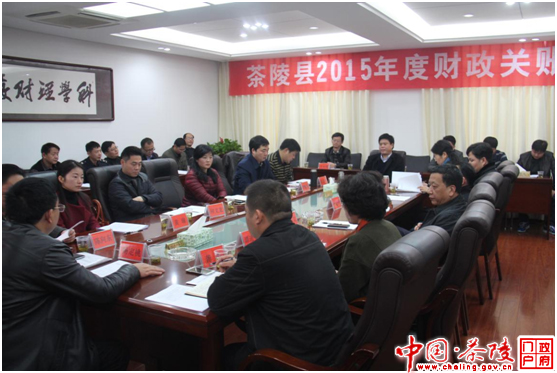 茶陵县召开2015年度财政关账会议