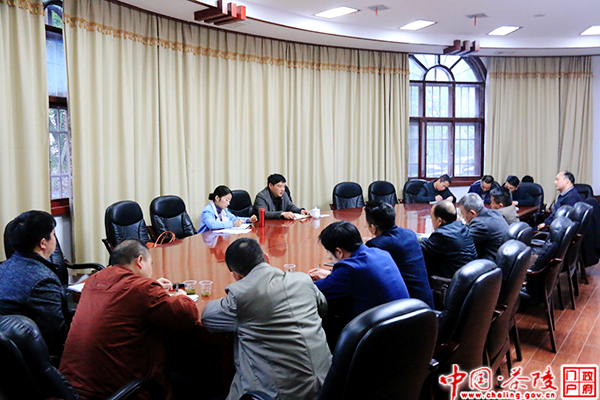 茶陵召开基层党组织书记征求意见座谈会