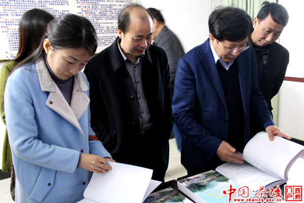 株洲市“六五”普法考核组到茶陵检查验收