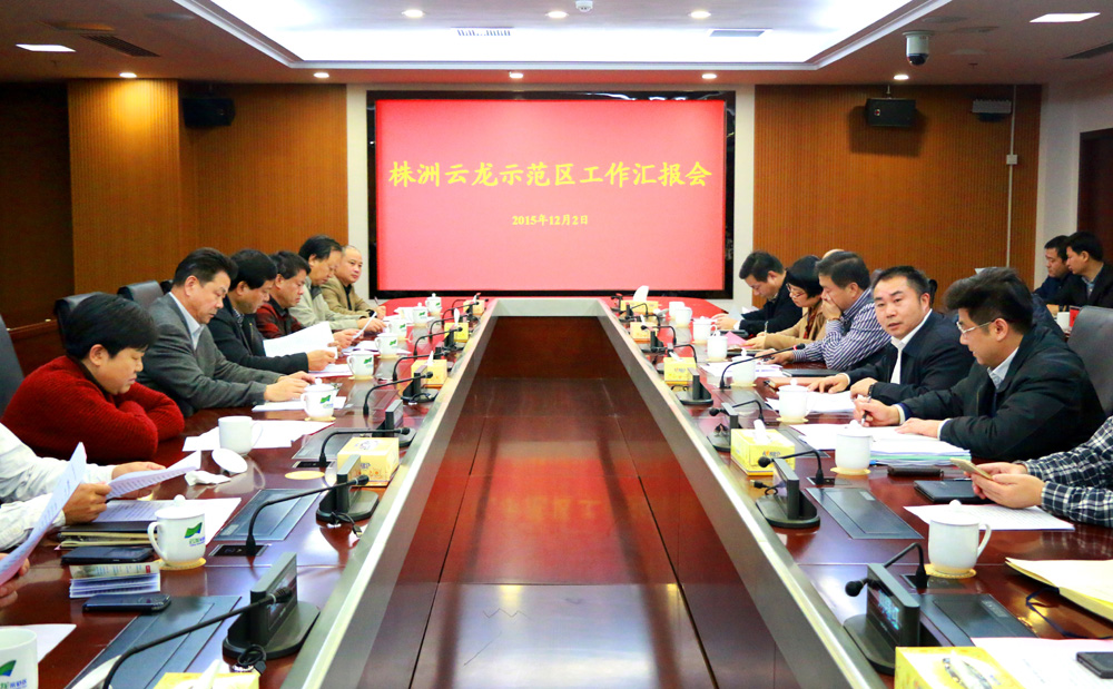刘力量视察指导云龙示范区项目建设工作