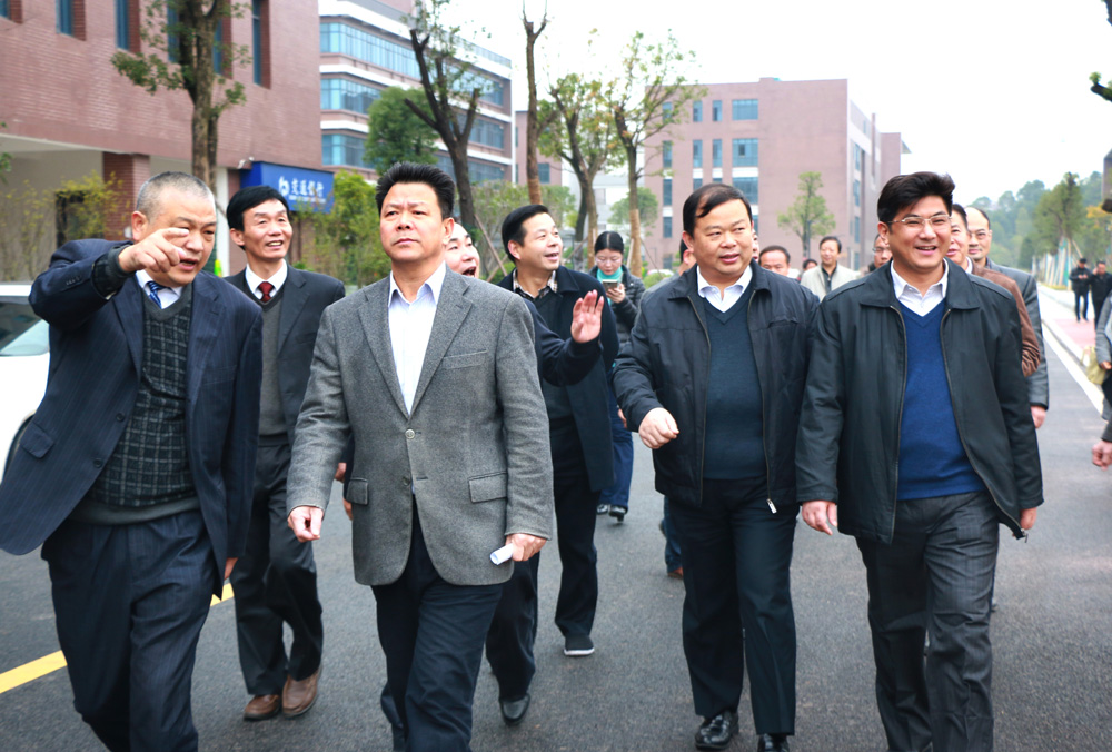 刘力量视察指导云龙示范区项目建设工作