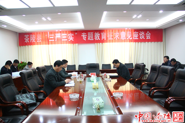 茶陵县政府党组召开“三严三实”专题教育征求意见座谈会