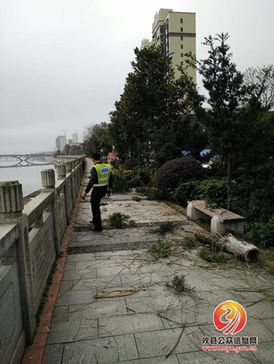 攸县市政园林管理处积极做好园林绿化养护工作