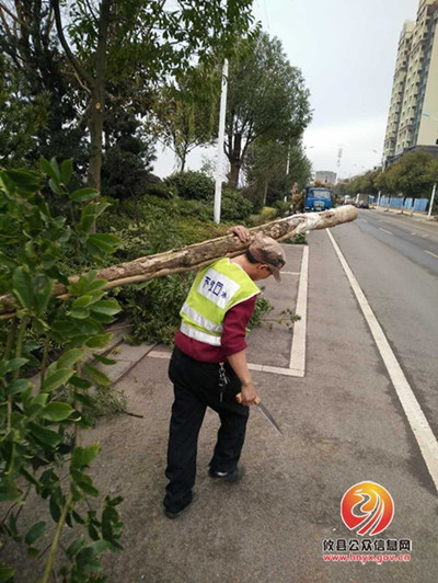 攸县市政园林管理处积极做好园林绿化养护工作