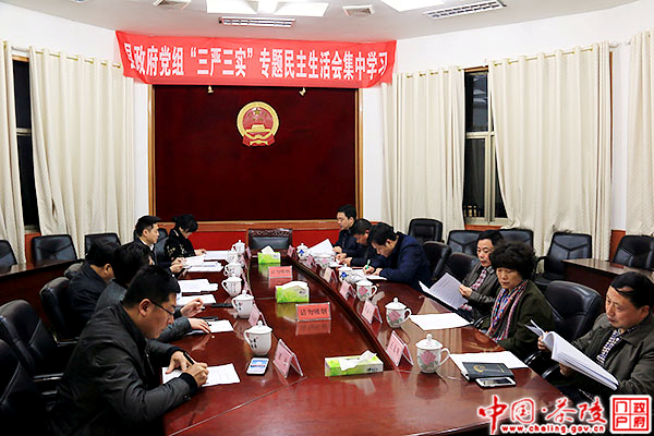 茶陵县政府党组开展“三严三实”专题民主生活会集中学习会