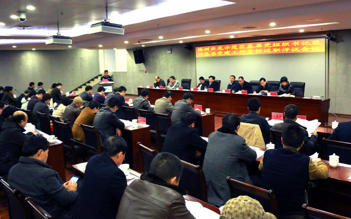 云龙示范区开展基层党建述职评议