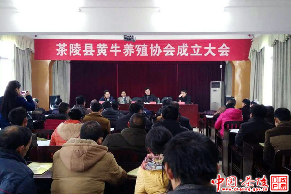 茶陵县黄牛养殖协会第一届会员代表大会召开