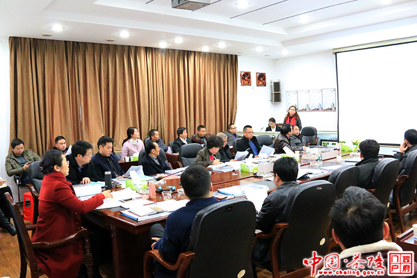 茶陵县2016年第一次规划委员会研究欧景名城等项目