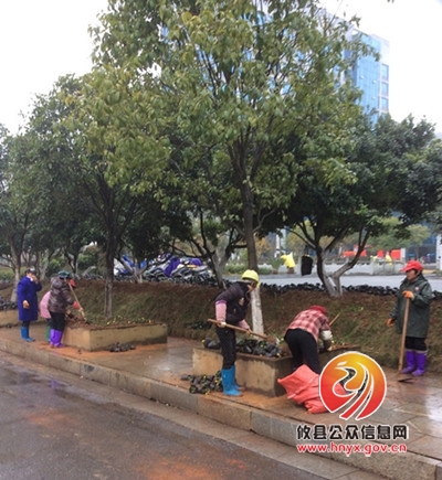 攸县市政园林管理处积极做好园林绿化养护工作